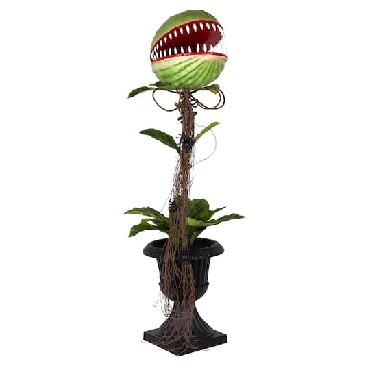46" Potted Venus Flytrap by Ashland®
